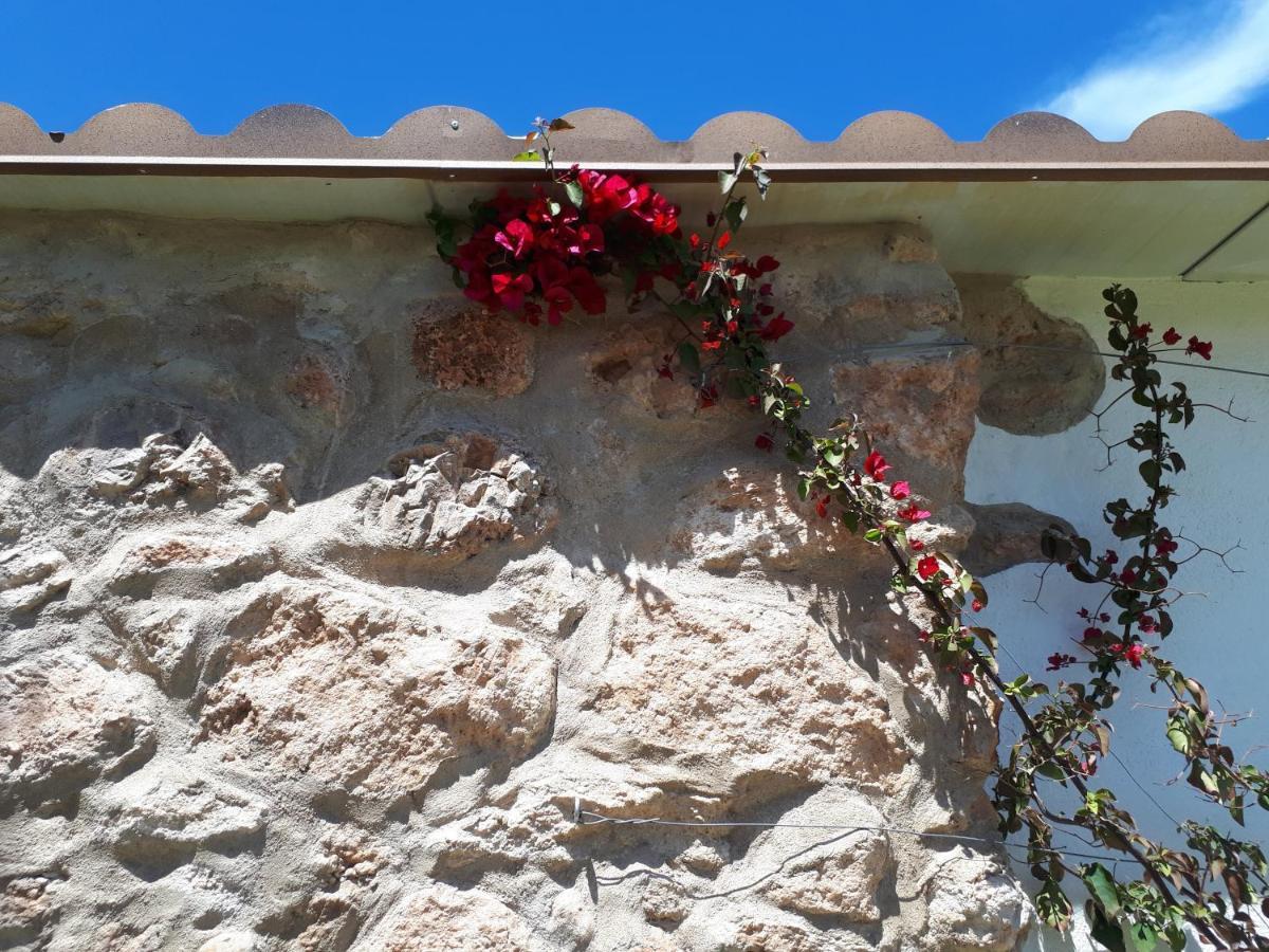 El Establo Apartamento Roquetes Exterior foto
